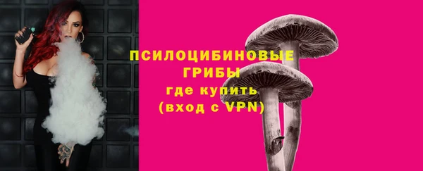соль ск Абдулино