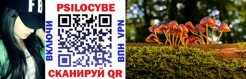 Галлюциногенные грибы мухоморы Владикавказ