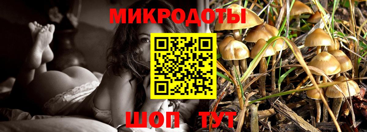 Псилоцибиновые грибы ЛСД Владикавказ