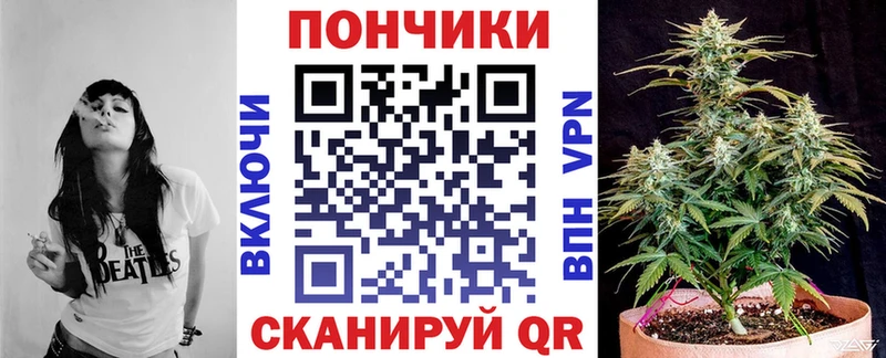 Шишки марихуана конопля  omg ТОР  Владикавказ 