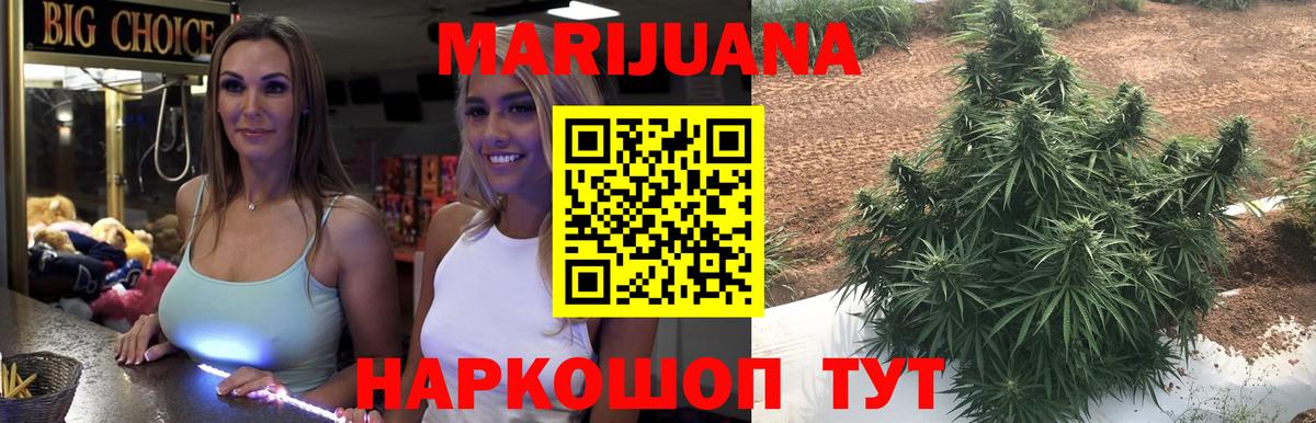 Бошки Шишки MAZAR Владикавказ